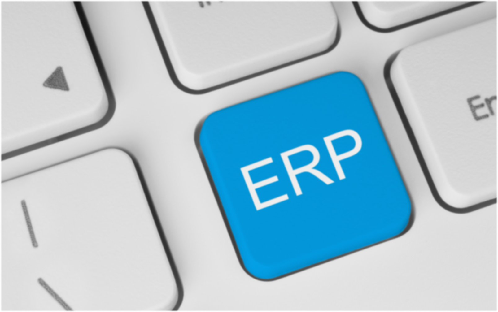 ERP 뜻 ERP 뜻