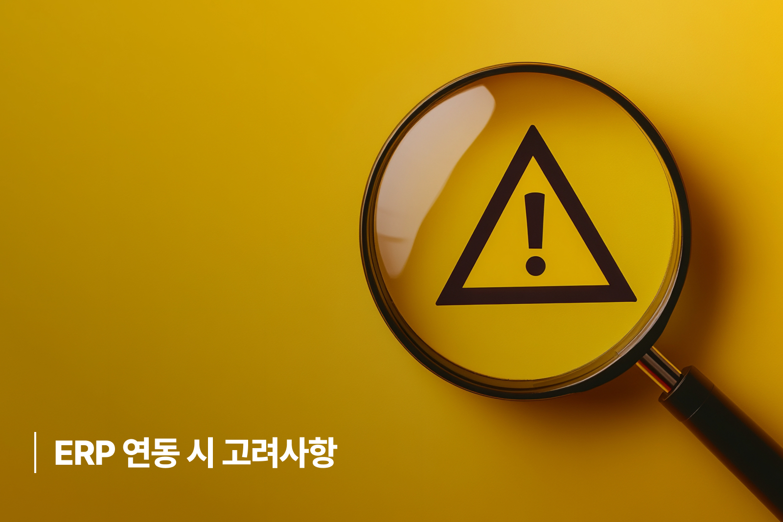 ERP 연동 시 고려사항