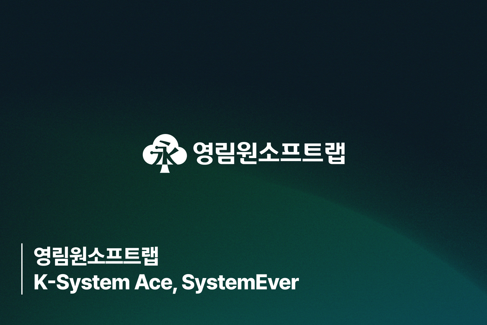 영림원소프트랩 영림원소프트랩