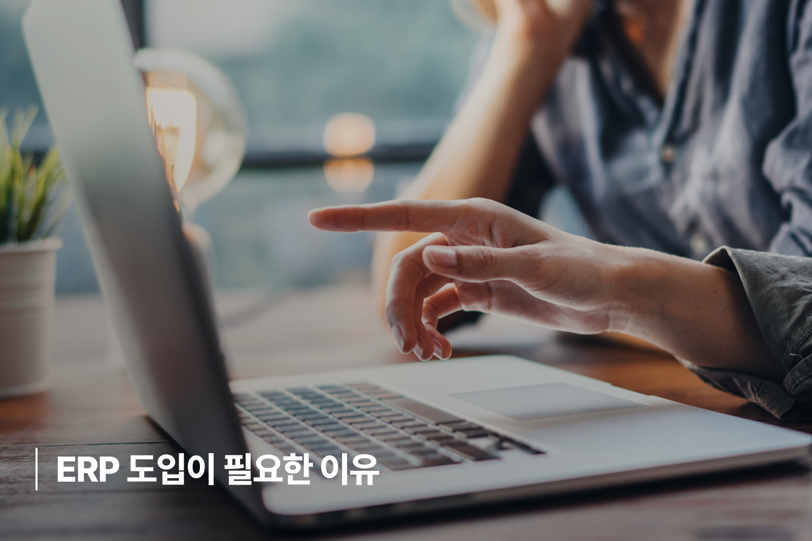 Franchise ERP introduction 1 ERP 도입 필요 이유