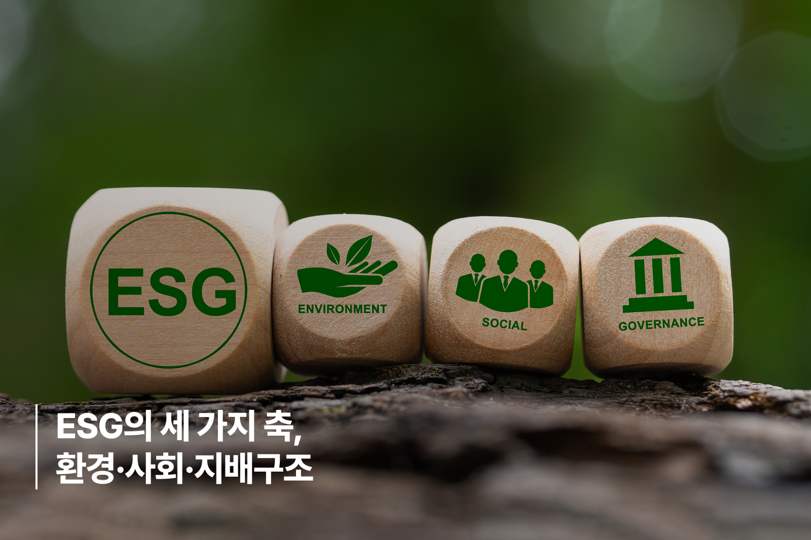 ESG의 세 가지 축