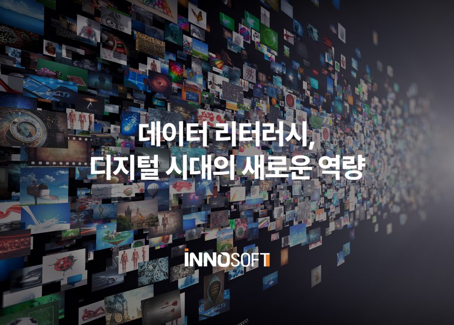 데이터 리터러시, 디지털 시대의 새로운 역량