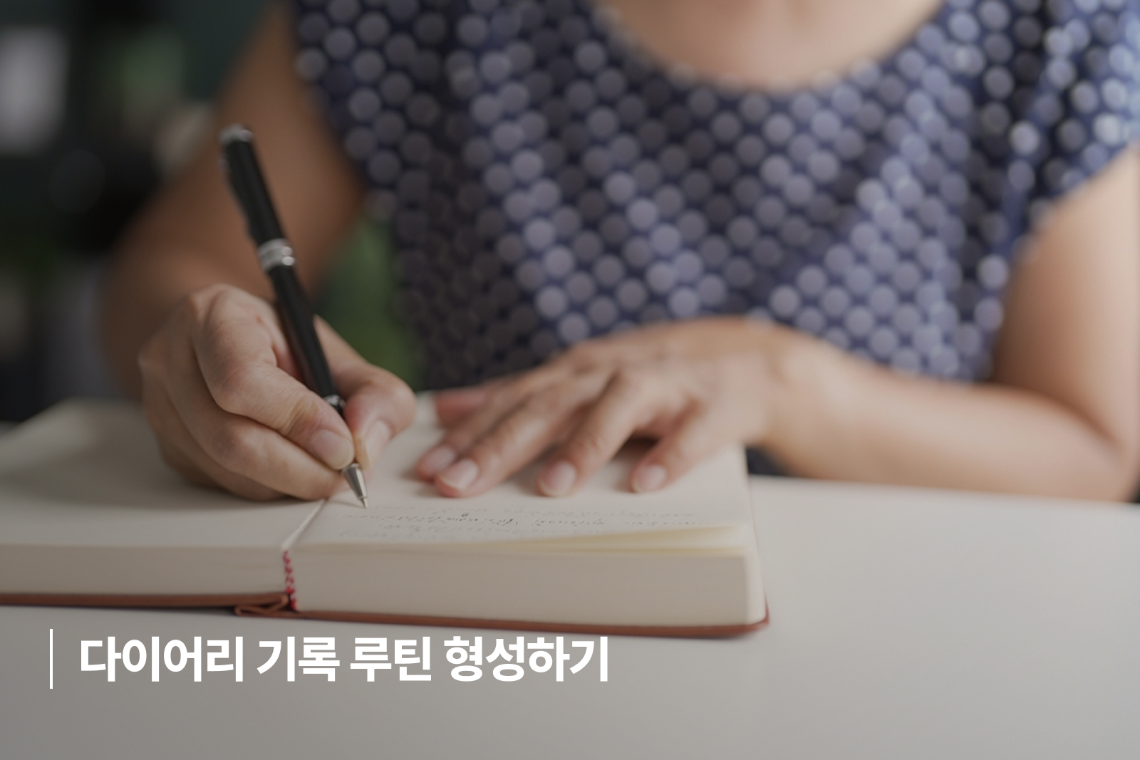 다이어리 기록 루틴 형성하기 다이어리 기록 루틴 형성하기