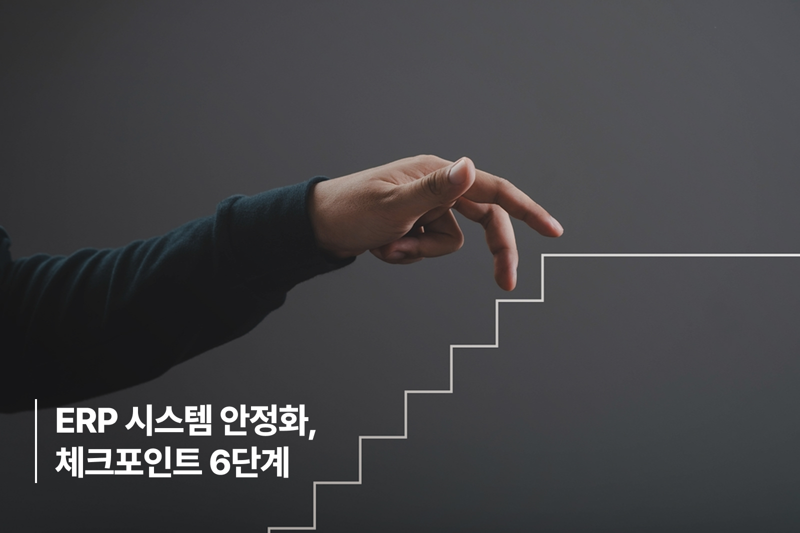 ERP 시스템 안정화, 체크포인트 6단계 ERP 시스템 안정화, 체크포인트 6단계