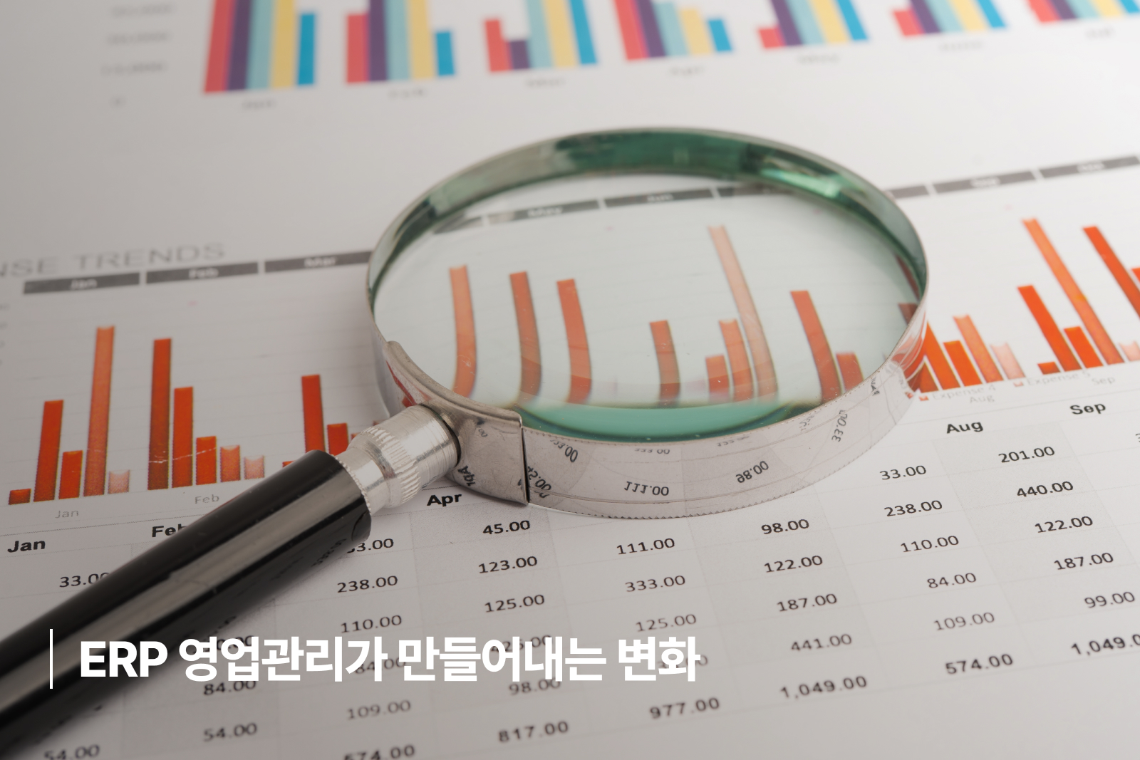 ERP 영업관리가 만들어내는 변화 ERP 영업 과정