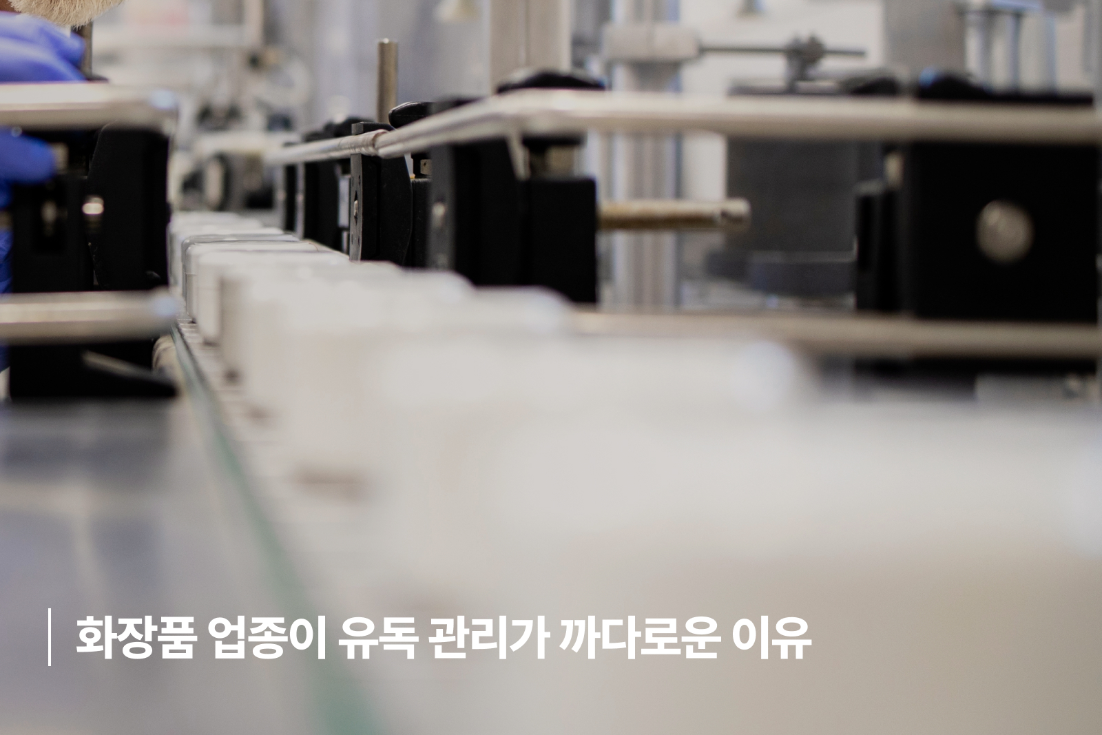 화장품 업종