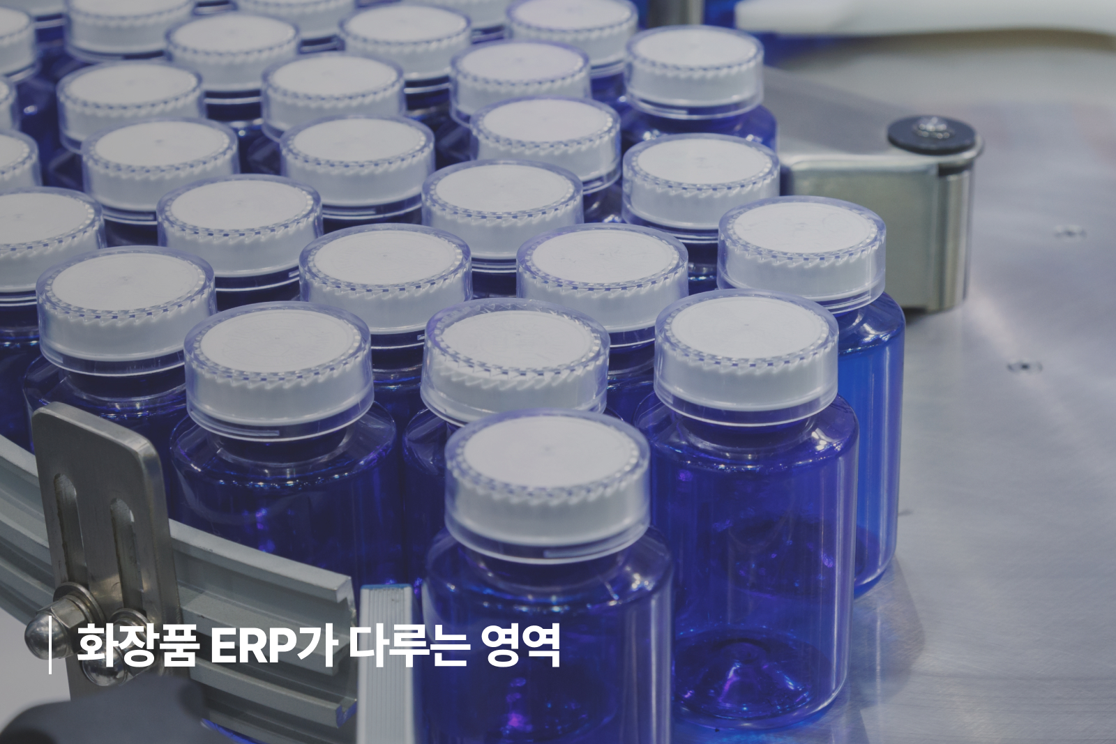 화장품 ERP 영역